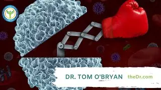 How to Boost Your Immune System