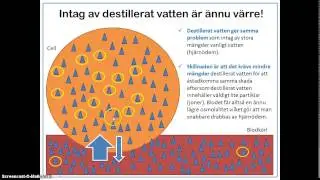Osmos - Vattnets transport in och ut ur celler