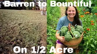Suburban Homesteading On 1/2 Acre -  First Winter Tour - Can We Do It?