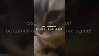 #новыйгод #хэпиньюэ #карочесновымгодом