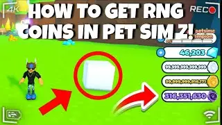 HOW TO GET RNG COINS IN PET SIMULATOR Z