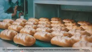 На северодвинском хлебокомбинате запустили новую батонную линию // VDVSN.RU