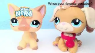 Q & A 70 subscriber special