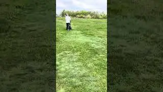 Маркиза умничка гуляет с нами