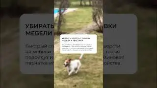 С продуктами Zetter уборка пройдёт быстро и эффективно ✔️ 