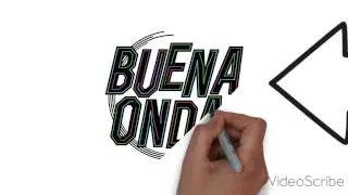 reel  canal 33