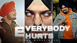 EVERYBODY HURTS - Sidhu Moose Wala 🥺 || Sidhu Moose Wala Status 🔥 @SidhuMooseWalaOfficial