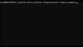Python print after sleep for x seconds