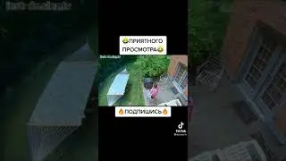 ПОДБОРКА МЕМОВ С СОБАКАМИ И КОШКАМИ