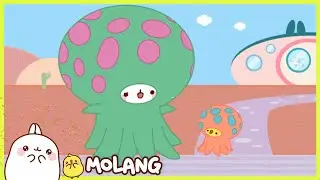Molang's Best Compilations - The aquarium 🐟