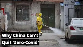 Why China isn't backing down on its zero Covid strategy?