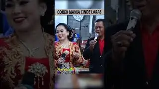 pertelon pungkruk | tomo & ririk #cindelarasterbaru #cokekmania #sragenan