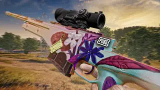 My Friend : THE AWM (PUBG)