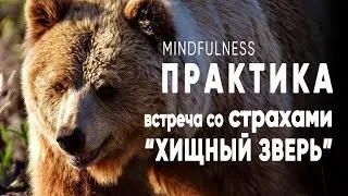 Mindfulness практика работы со страхами
