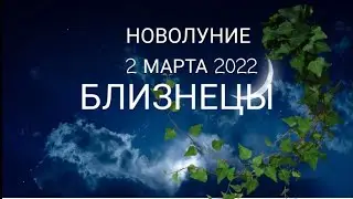 БЛИЗНЕЦЫ 🌙 2ФЕВРАЛЯ. НОВОЛУНИЕ.
