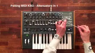 Arturia MiniBrute 2 | Making Acid Bass