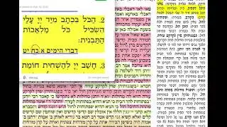 דף יומי מסכת פסחים דף פו Daf yomi pesachim daf 86. שמואל נבון