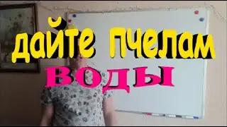 Что нужно сделать что бы не потерять пчелиную семью ранней весной