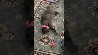 хейтерам привет 🙂 наигрались и выбросили