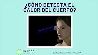 ¿Los termómetros infrarrojos dañan nuestros ojos y matan neuronas?