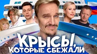 КРЫСЫ БЕГУТ С КОРАБЛЯ / ДУДЬ, СОБЧАК, ИВЛЕЕВА, ЭЛДЖЕЙ