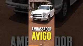 HM Ambassador AVIGO | A Rare Ambassador 