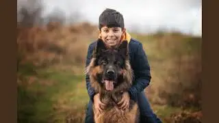 Dog Photographer  Photography Collections 2024 | Manchester | Wigan