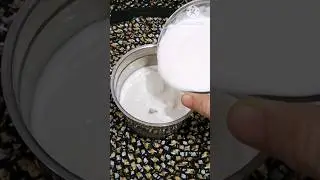 Lassi Recipe #shorts #youtubeshorts #shortsvideo #viral #trending #lassirecipe