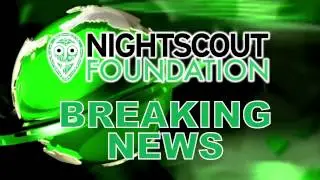 BREAKING T1D NEWS