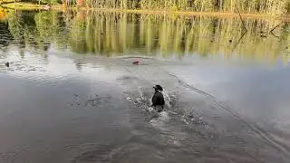 Maddie’s first swim