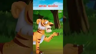 మాయ కుందేలు |