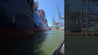 A SCARY Close Encounter! 😱
