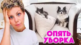 КАК Я УБИРАЮСЬ В ДОМЕ С ЖИВОТНЫМИ!? 10 МОИХ СЕКРЕТОВ УБОРКИ ЗА 11 ЛЕТ  С 5 ПИТОМЦАМИ!