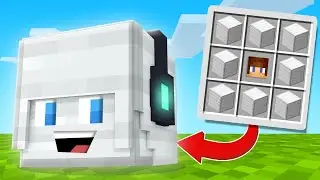 Minecraft: NEW IRON DISGUISE IN HIDE AND SEEK!!