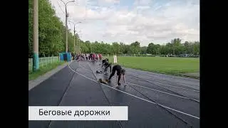 Беговые дорожки