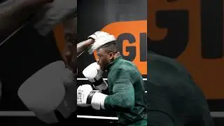 Everyone has a plan until they get punched in the mouth ☝🏿 