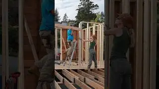Week 29 of renovating our abandoned home