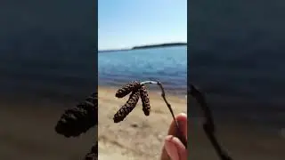 Весна 24