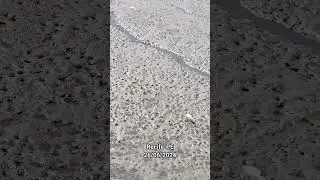 És Fiel Em Todo Tempo