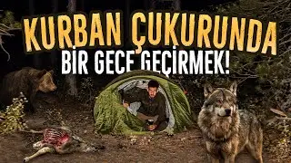 Spending A Night With Near An Animal Carrion Pit! Tent Camping With Bears and Wolves!
