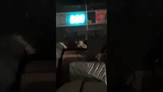 Весы