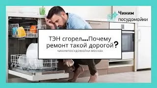 Ошибка Е09.Сгорел ТЭН посудомойки. Почему так дорого ремонтировать?