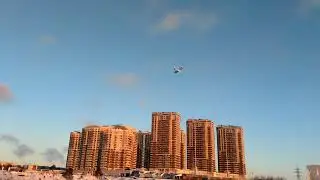 Зимние полетухи 2022 декабрь