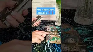 26 августа 2024 г.