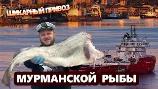 Шикарный привоз Мурманской рыбы!