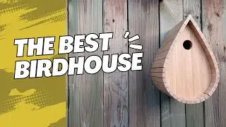Birdhouse to Brighten Your Backyard: Unleash Your Creativity