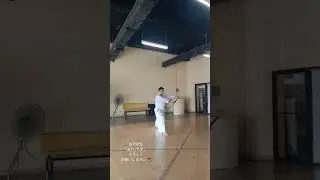 How I Practice My #Iaido #古流
