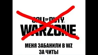 ПОЛУЧИЛ БАН ЗА ЧИТЫ В WARZONE