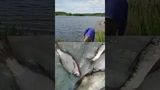 Рыбалка на матчевый поплавок 