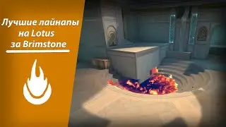 Лучшие лайнапы за Brimstone на Lotus